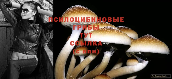 спиды Вяземский