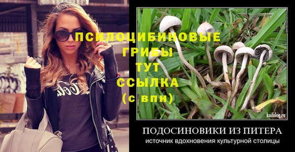 спиды Вяземский