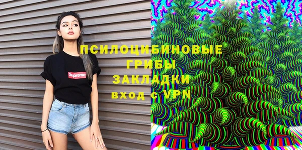 спиды Вяземский