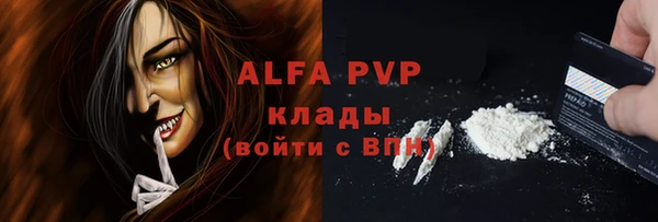 спиды Вяземский