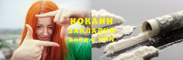спиды Вяземский