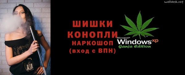 спиды Вяземский