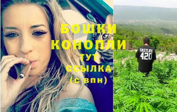 тгк Вязьма