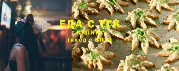 спиды Вяземский