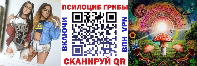 Купить закладки  Ильский  Галлюциногенные грибы Psilocybine cubensis 